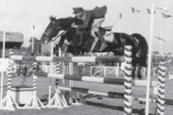 Showjumping Coach Showjumping Coach